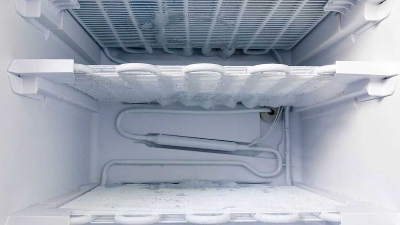 freezer 1 palermotoday