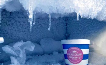 freezer pieno di ghiaccio con una vascetta di gelato