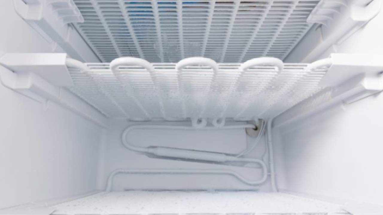 freezer 1 stiletoday