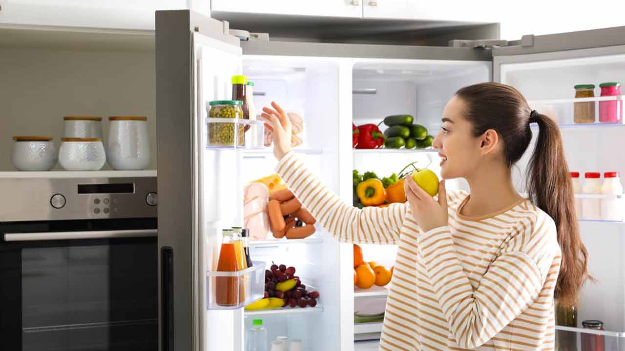 frigo 1 mondoelettrodomestici