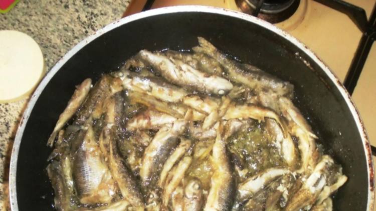 lamprede cotte su olio da frittura in padella