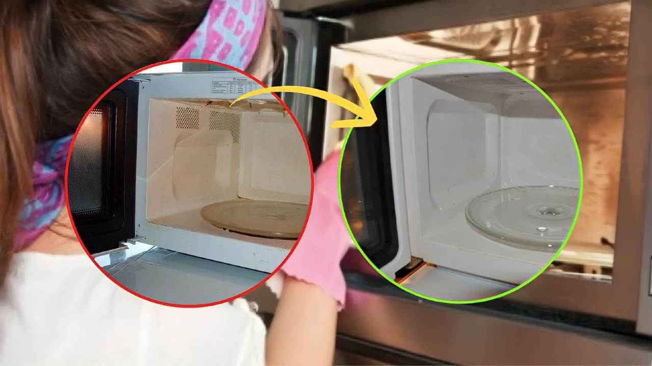 donna pulisce il microonde prima e dopo
