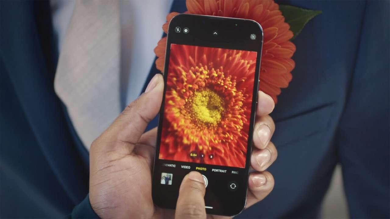 persona con telefono in mano scatta in modalità Macro un fiore