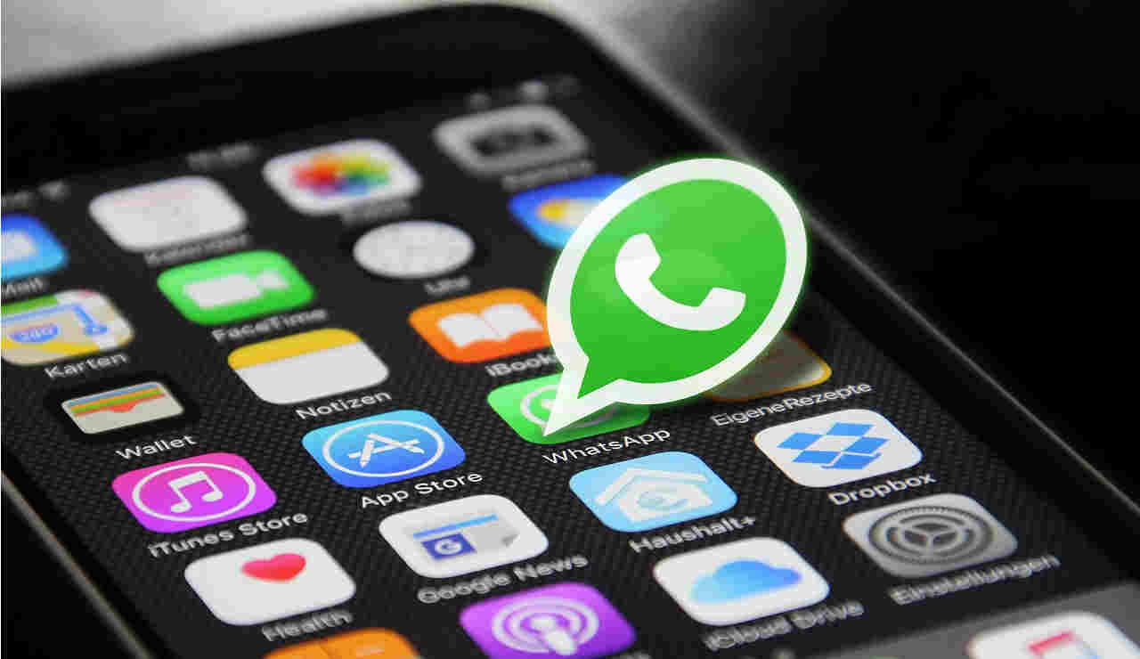 Applicazione WhatsApp smartphone. 