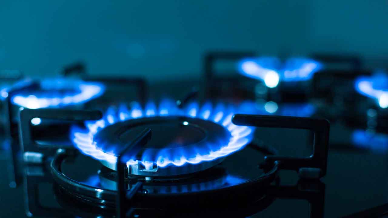gas 1 fisco