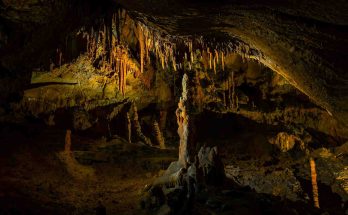 grotta-scienza-caverna-specie