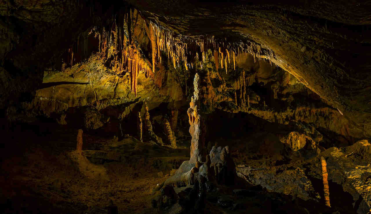 grotta-scienza-caverna-specie