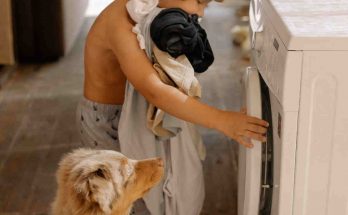 lavatrice-bambino-cane