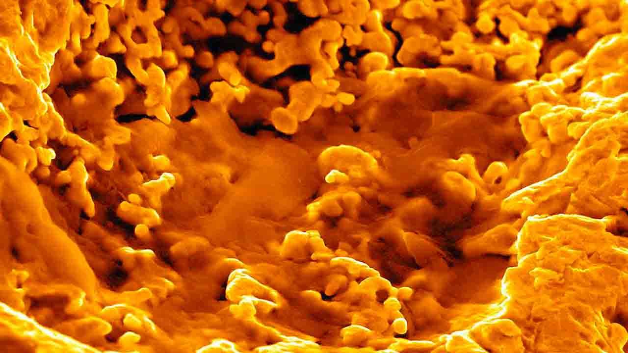 batterio 1 astrobio
