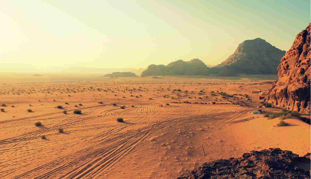 deserto-animali-specie-scoperta-dune-sabbia