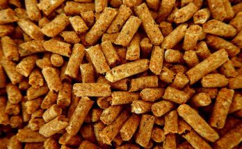 pellet-combustibile-biomassa