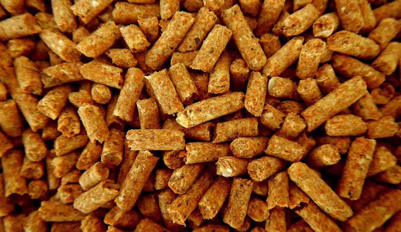 pellet-combustibile-biomassa