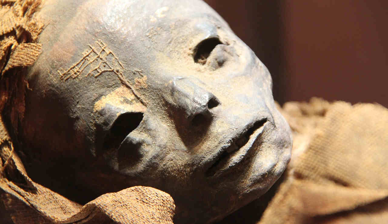 mummia-mummificazione-sarcofago-testa-egitto