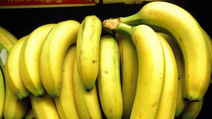 frutta 2 Adnkronos