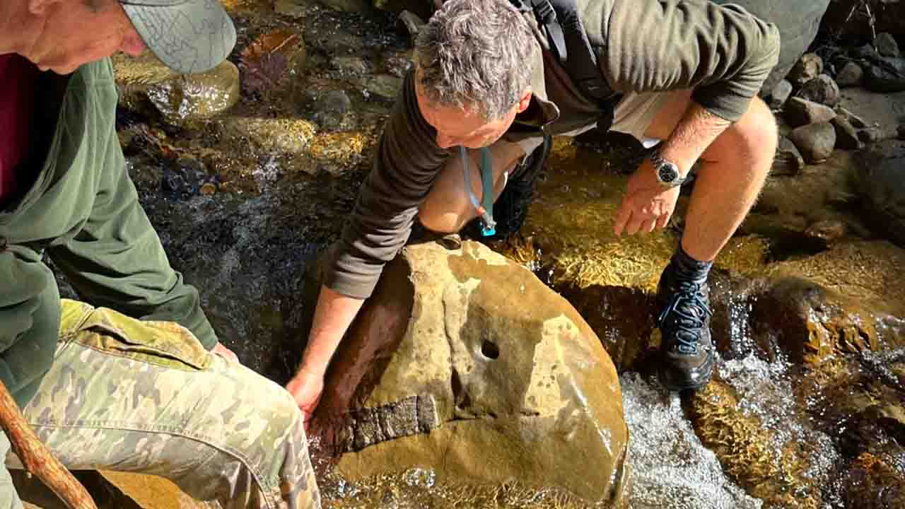 fossile 1 gnsscience