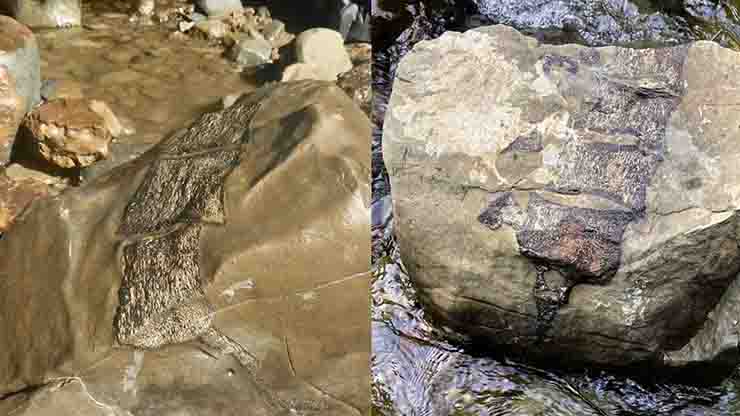 fossile 2 liberotecnologia