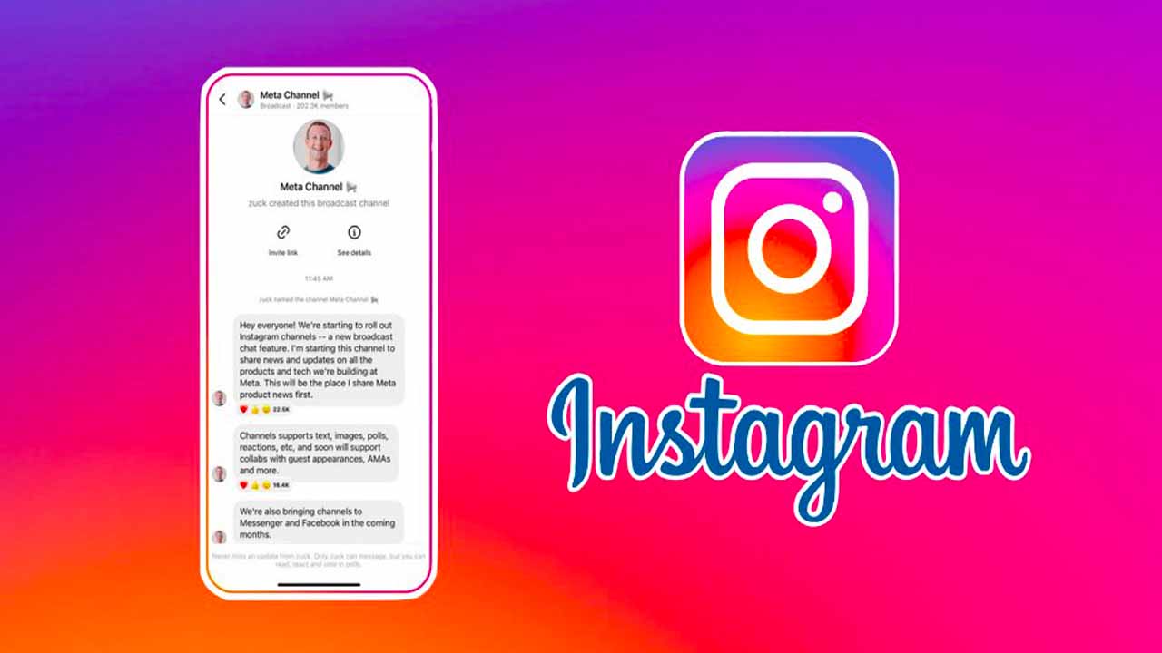 Instagram 1 pcprofessionale