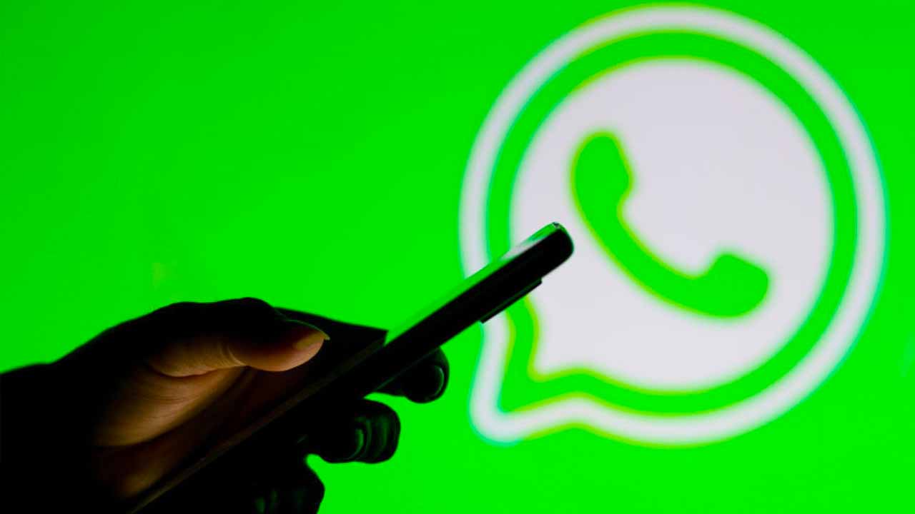 WhatsApp, from today you can discover cheats: here is the new function