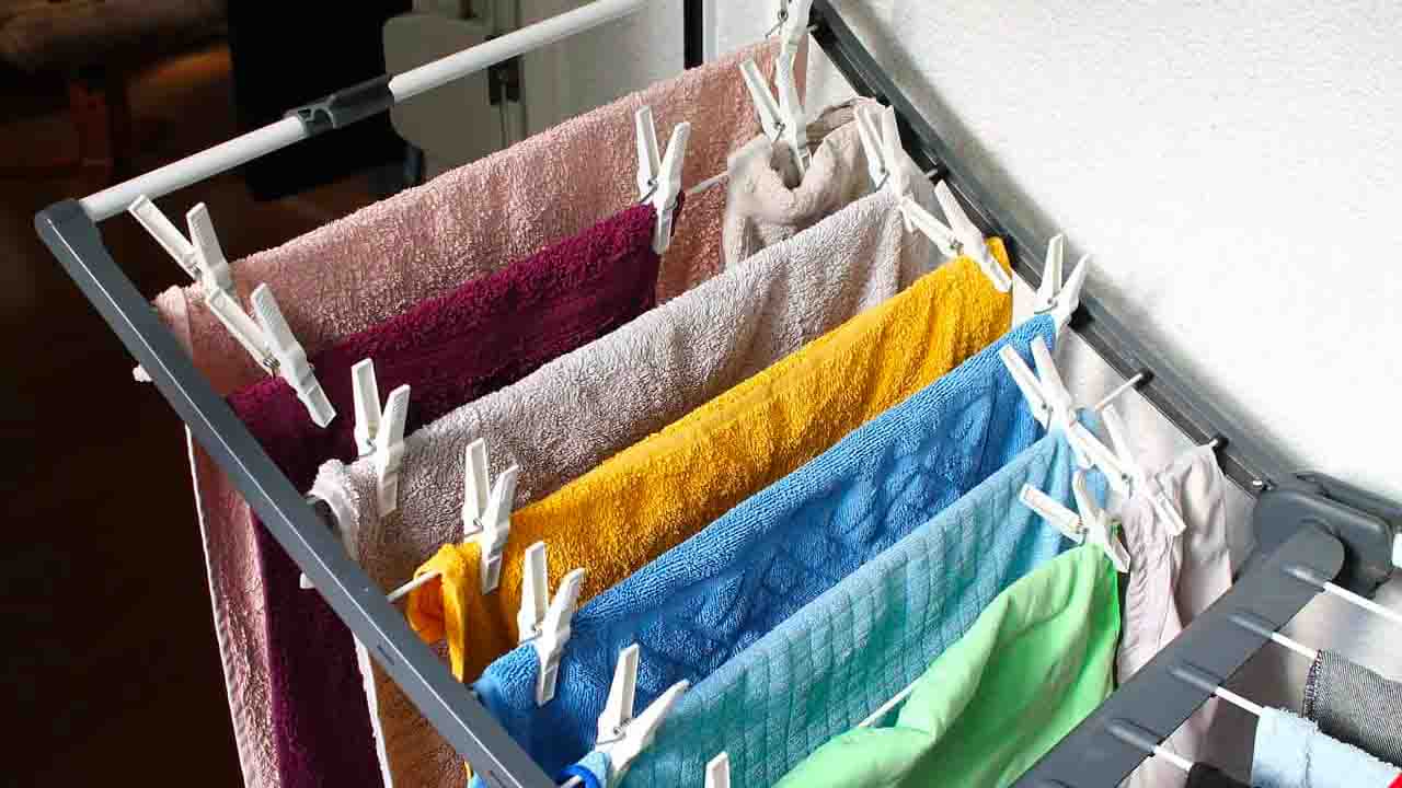 panni 1 saluteecobio