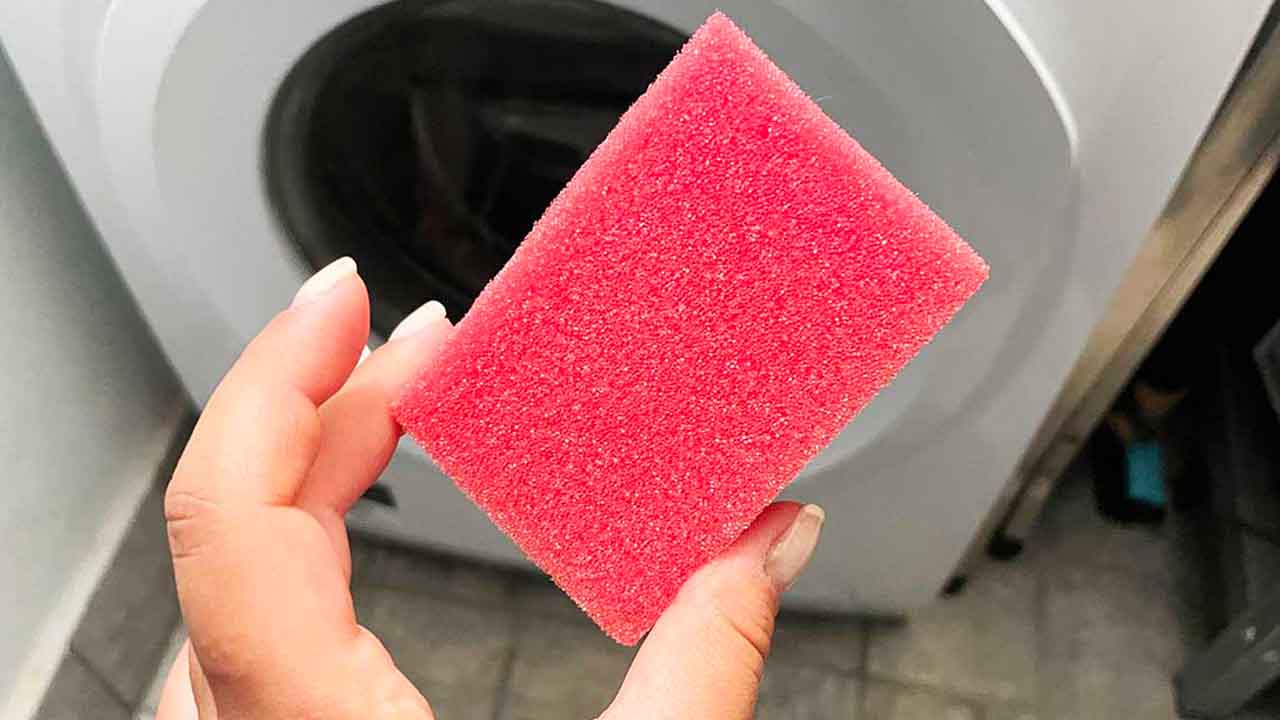 spugna 1 vivodibenessere