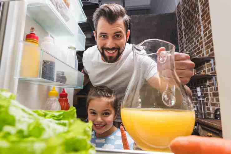 Come utilizzare correttamente il frigorifero - passionetecnologica.it