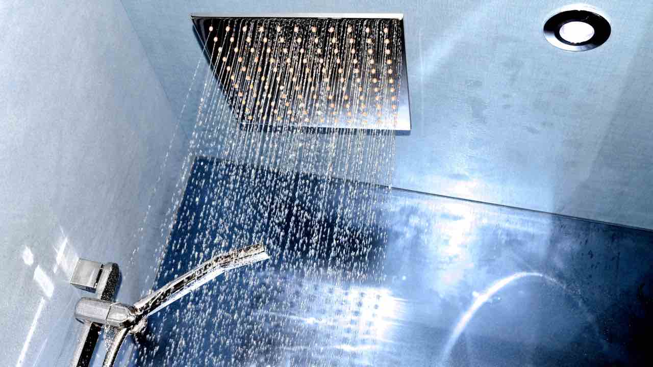 L'ameba presente nell'acqua della doccia, che terrorizza il mondo - passionetecnologica.it