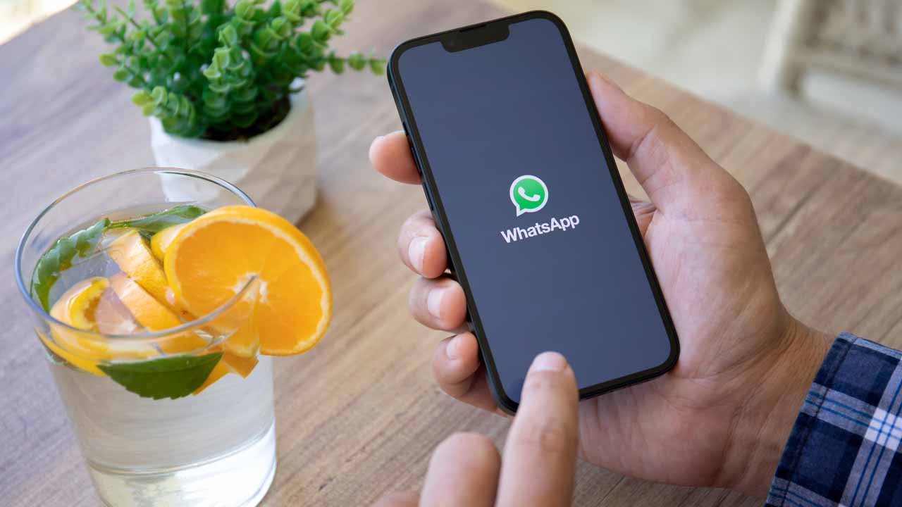 WhatsApp, la nuova funzione ti salva la vita: puoi chattare senza rete internet. La attivi così  --- (Fonte immagine: https://www.passionetecnologica.it/wp-content/uploads/2023/11/whatsapp-funzione-salvavita-1-passionetecnologica.jpg)